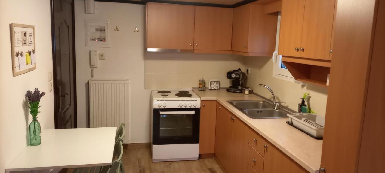 Meteora View Attic Apartment Kalampáka Ngoại thất bức ảnh